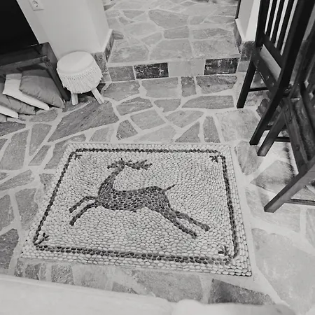 Casa vacanze Athina House *